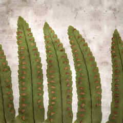 stylish textured old paper square background with fern leaves close up