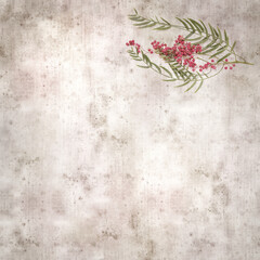 stylish textured old paper background with small branch of pink pepper tree with fruit
