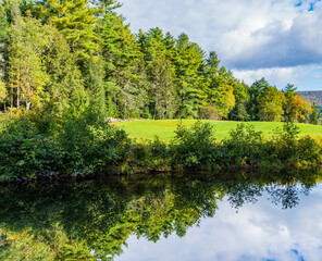 plants along the West River in the Village of Weston, Vermont are reflected in the calm water above the Mill waterfall
