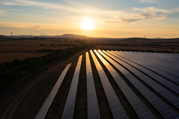 Solar panel farm under sunset sky reflecting light.