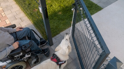 Service dog helping his owner with disability in everyday life, by opening a courtyard gate.