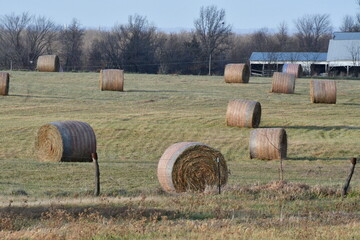 Hay Bales in a Farm Field