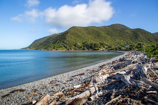 Waiorua Bay on a sunny day, on Kapiti Island near Wellington, NZ.