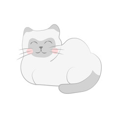 Cute Lying Kitty Favorite Pet