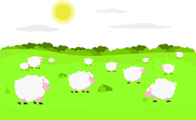 Fototapeta premium sheep on the meadow vector illustrations
