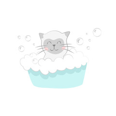 grooming salon for cats cute kitten in a basin washes a lot of foam flying bubbles