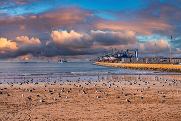 Seagulls resting on sand at beach with boats moored at coastline against cloudy sky - Powered by Adobe