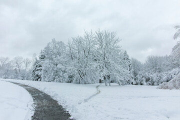 Winter Landscape of South Park in city of Sofia, Bulgaria