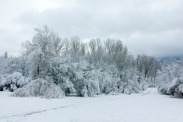 Winter Landscape of South Park in city of Sofia, Bulgaria