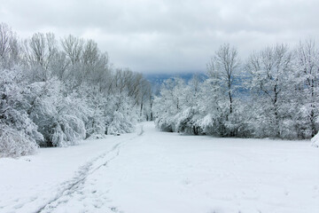Obraz premium Winter Landscape of South Park in city of Sofia, Bulgaria