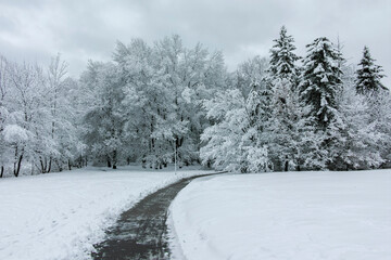 Winter Landscape of South Park in city of Sofia, Bulgaria