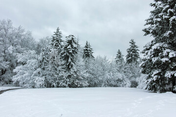 Winter Landscape of South Park in city of Sofia, Bulgaria