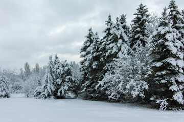Winter Landscape of South Park in city of Sofia, Bulgaria