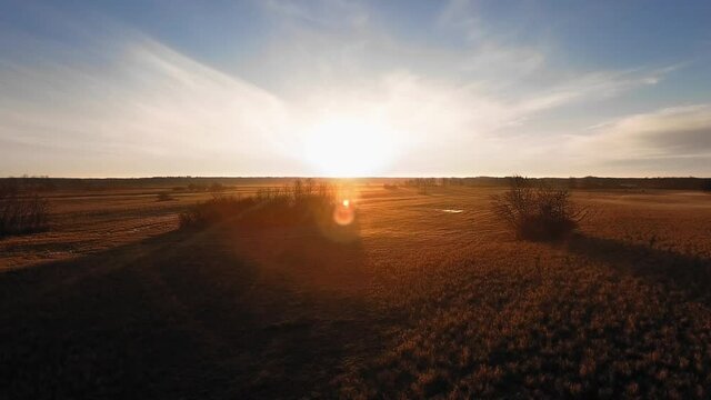 Bird's eye view of autumn field on a sunny evening, aeriel panorama over the field in Manitoba, Canada