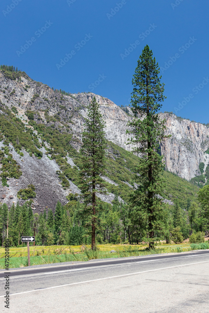 Canvas Prints Vertical shot of a road in Yosemite National Park, USA