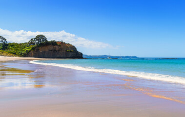 Panoramic View of Tawharanui Beach and Regional Park, Auckland New Zealand; White Sandy Beach during Low Tide