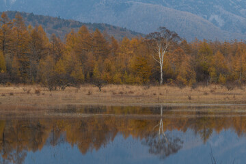 秋の小田代ヶ原
