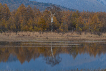 秋の小田代ヶ原