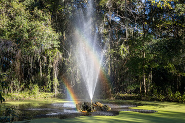 Photo of a fountain in a park with a double rainbow showing in the water spray