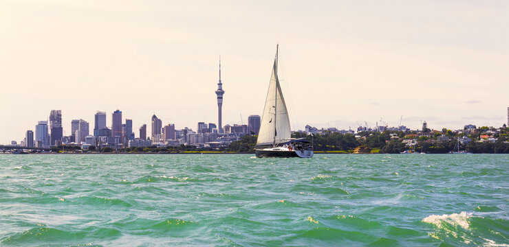 View to Auckland City New Zealand from Birkenhead