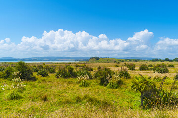 Landscape Scenery of Duder Regional Park, Auckland New Zealand; Panoramic View