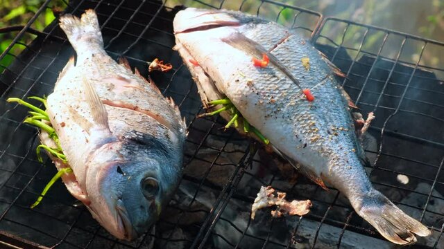 Sea bass or grouper fish grilled over charcoal. Close-up shot cooking seafish Sparus aurata or Dorado with aromatic spices and lemon on barbecue grill plate. Baking roasting marinated delicious seafoo