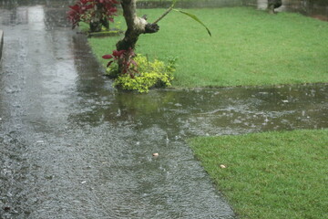 the yard of the house that looks wet due to heavy rain so it looks like there is a puddle of water
