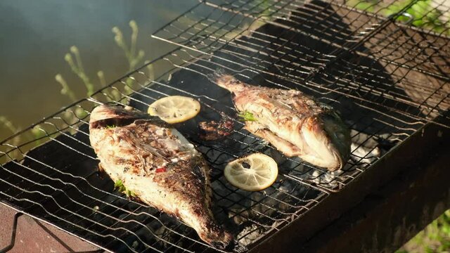 Sea bass or grouper fish grilled over charcoal. Close-up shot cooking seafish with aromatic spices on barbecue grill plate. Baking roasting marinated delicious seafood. BBQ  in summer garden outdoors 