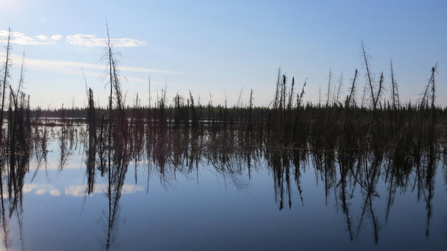 Northwest Territories tundra image in the swamp lake