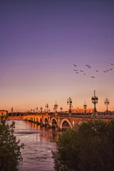 Fotobehang Bordeaux river bridge with St Michel cathedral during the sunset in France © Marine Sisouvan/Wirestock