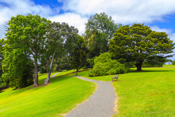 Landscape Scenery of Monte Cecilia Park Hillsborough, Auckland New Zealand