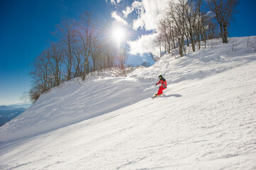 Snowboarder riding down a groomed ski resort on a blue sky sunny day Hakuba Japan