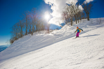Skier riding down a groomed ski resort on a blue sky sunny day Hakuba Japan