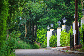 gate in the park with row of trees