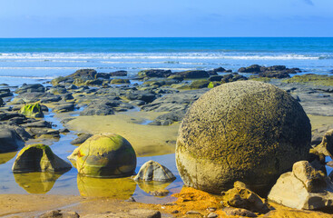 Beach Scenery with Spherical Stones Moeraki Boulders, Moeraki New Zealand