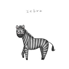 しまうま手描きイラスト素材