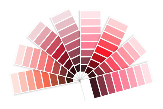 Color palette of red swatch. Graphic decor. Design art. Home interior concept. Vector illustration. Stock image. 