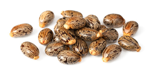 close up of castor beans, isolated on white background