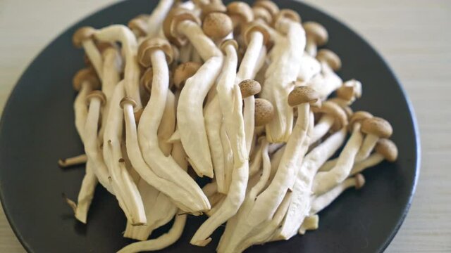 fresh brown beech mushroom or black reishi mushroom on plate