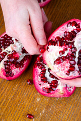 Hands clean a huge pomegranate fruit with bright red grains.