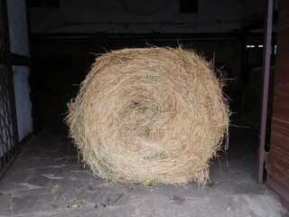 bale of hay, roll of hay  on dark background, hayroll