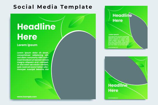 Social media templates with attractive and elegant color variations are suitable for promoting a product or service or others SD15