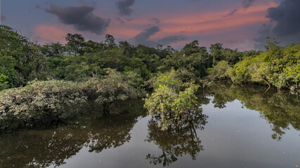 Reflection of a sunset by a lagoon inside the Amazon Rainforest Basin. The Amazon river basin comprises the countries of Brazil, Bolivia, Colombia, Ecuador, Guyana, Suriname, Peru and Venezuela © vaclav