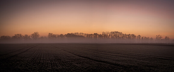 Panoramic shot of an early morning landscape with sunrise on the field - obrazy, fototapety, plakaty