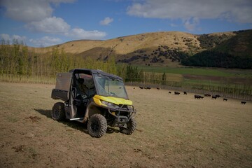 Farm vehicle, ATV, on sloped field in rural setting overlooking field of cows.