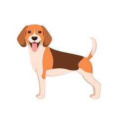 Funny beagle on a white background. A dog in a cartoon design.
 - obrazy, fototapety, plakaty