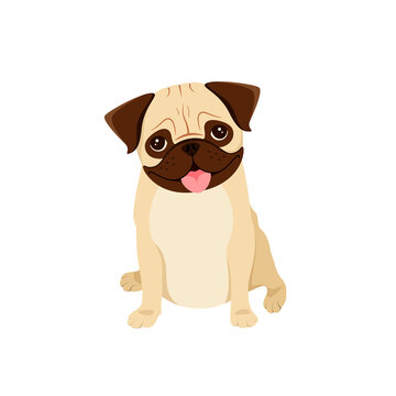 Funny pug on a white background. A dog in a cartoon design.
