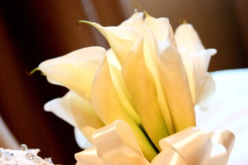 Fototapeta na wymiar Calla lily bride holding flowers