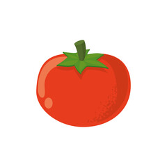 red tomato illustration