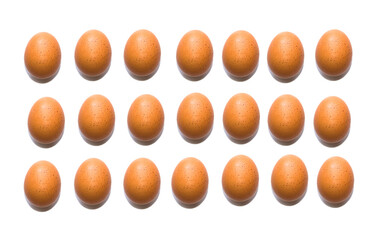 set of eggs isolated. Chicken eggs on white background